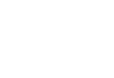 Martin Palus